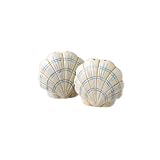 Review Pfaltzgraff 6700250K / Pfaltzgraff Beachcomber Salt & Pepper Set