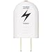 Yazawa 雷バスタープラグ 15000Vタイプ STB15WH: ◆最大サージ電圧15000V◆雷によって生じる過電圧から接続機器を守ります。◆差し込むだけで雷サージ付タップに変身! / ■ 仕 様 ■制限電圧:650Vサイズ(約):幅32×高さ64×奥行27mm質量:約20g /