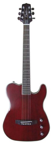 TAKAMINE Cooder TCS-550S/WR エレアコ