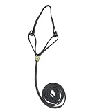 Resco Black Cordo-Hyde Martingale Lead with 12-Inch Choke Collar, 3/16 by 42-Inch Long