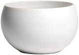 Vera Wang by Wedgwood Naturals Chalk Medium Serving Bowl, 6-1/2-Inch