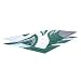 Sporting Goods : RV Patio Mat: 9 x 18 Forest Green Waves Pattern
