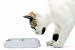 Animaux J. 108-gamelle.tif Ribieff - 24W x 16H - Peel and Stick Wall Decal by Wallmonkeys