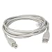 6 Foot USB 2.0 Male A/B Printer Cable