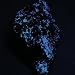 Hydrozincite Fluorescent Blue