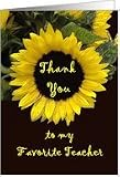 Favorite Teacher Thank You - from Child Card