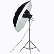1 Cool Adjustable Light for Portrait Photography