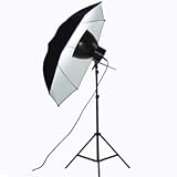 1 Cool Adjustable Light for Portrait Photography