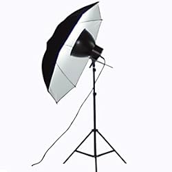 1 Cool Adjustable Light for Portrait Photography