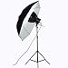 1 Cool Adjustable Light for Portrait Photography