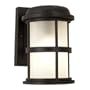 National Geographic Solaris 9 3/4" High Hybrid Wall Light