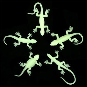 Childrens Toyshop  Toys : Glow Mini Lizard