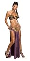 Star Wars - Secret Wishes Sexy Princess Leia Slave Adult Halloween Costume Size 2-6 X-Small (B603-749)