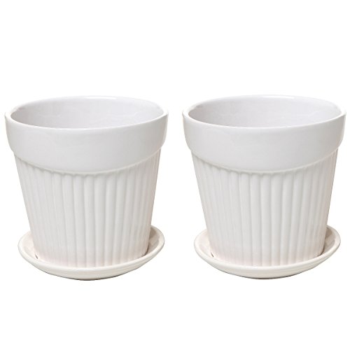 Set of 2 small white decorative ribbed ceramic plant / …