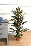 Stewart supérieure Moss plante artificielle en terre cuite à effet Pot 1400mm Ref 9900178