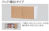 TOTO ウォール収納キャビネット バック（露出）タイプ 【YSC36BY】　カラー：＃ML(ミルベージュ)