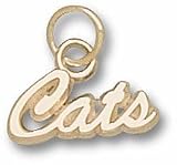 Arizona Wildcats Script "Cats" Pendant - 14KT Gold Jewelry