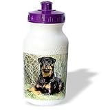 Dogs Rottweiler - Rottweiler - Water Bottles