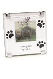 Labrador Retriever Clip Photo Frame with Labrador Retriever Charm