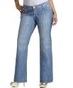 Apple Bottoms Plus Size Boot-Cut Apple-Pocket Jeans, Belize Wash