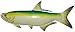 Tarpon Fish Wall Decor