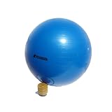 BEACHBORN() 2015 Stability Ball - Anti Burst - Comes With FREE Foot Pump (55 cm)
