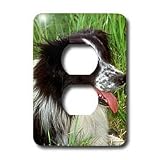 Dogs Border Collie - Border Collie - Light Switch Covers - 2 plug outlet cover