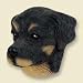 Rottweiler Head for Conversation Concepts Doogies