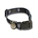 New York Mets Dog Puppy Pet Collar Medium / Large 16-26 Inch Neck Officially Licensed MLB Baseball