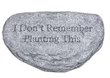 Outdoor Living : I Don't Remember Garden Stone