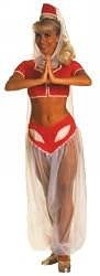 I Dream of Jeannie Costume - Adult Costume
