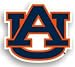 Auburn Tigers 12 Car Magnet