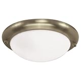 Sea Gull Lighting 16148BL 853 Ceiling Fan Light Kit Golden Pewter Finish 31uHlr28GGL. SL160 Sea Gull Lighting 16148BL 853 Ceiling Fan Light Kit Golden Pewter Finish