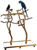 Double Sanblasted Manzanita Activity Tree StandActivity Tree Stand - Parrot Playstand