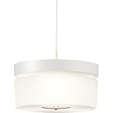 DAIKO ����d�@ ���C�e�B���O�V�A�^�[���C�g DX-85720