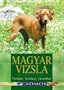 Magyar Vizsla: Charakter, Erziehung, Gesundheit