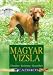 Image of Magyar Vizsla: Charakter, Erziehung, Gesundheit