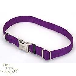 Coastal Pet Titan Metal Buckle Side Release Dog Collar (Purple, 14-20 inch L x 3/4 inch W)