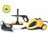Domotec Super Steamer and Iron