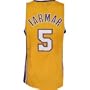 Jordan Farmar Los Angeles Lakers Gold Swingman Adidas Youth NBA Jersey- M (10-12)