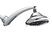 Waterpik RPB 173 RainFall 6-Inch Showerhead with Adjustable Arm, Chrome