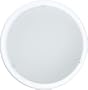 Eglo 82958A Planet 1 Light Wall/Ceiling Light Fixture, White/Frosted Opal