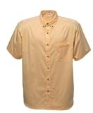 Short Sleeve Twill Shirt