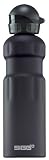 SIGG(����) �ѥ����å� 0.75L �֥�å� 70015