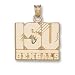 Idaho State Univ. New Isu Bengals Charm/Pendant -14K/10K, Stainless Steel or Gold Plated