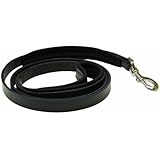 Perri's Padded Leather Dog Leash, 5-Feet