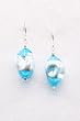 Earrings: Squash
