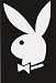 Playboy (Logo) Framed Flocked Blacklight Poster Print - 24" X 36"