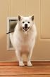 Freedom Aluminum Pet Door - Medium