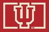 Indiana Hoosiers IU 7' 8 x 10' 9 Team Spirit Area Rug